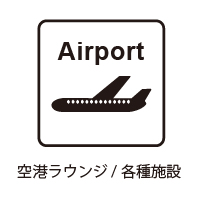 サーマルカメラを空港に